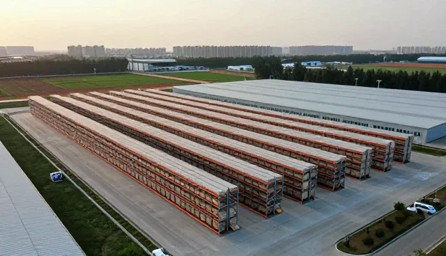 调味品在不同场景下的使用难点与应对策略